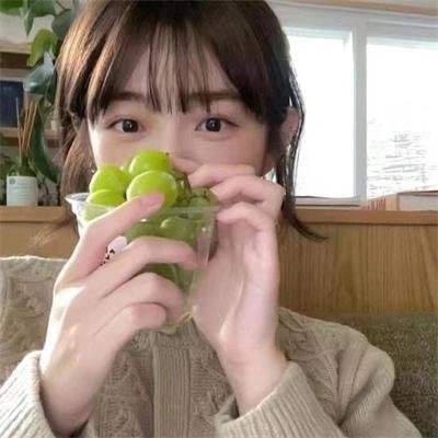 芙蓉春色